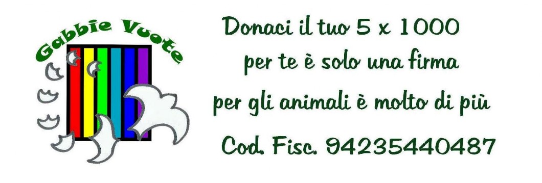 ops ci dispiace, ma il tuo browser non ha caricato l'immagine